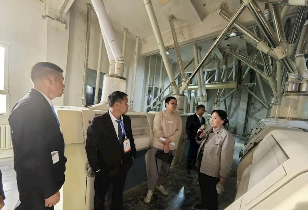 雙城鎮(zhèn)開展2024年人大代表視察活動(dòng)