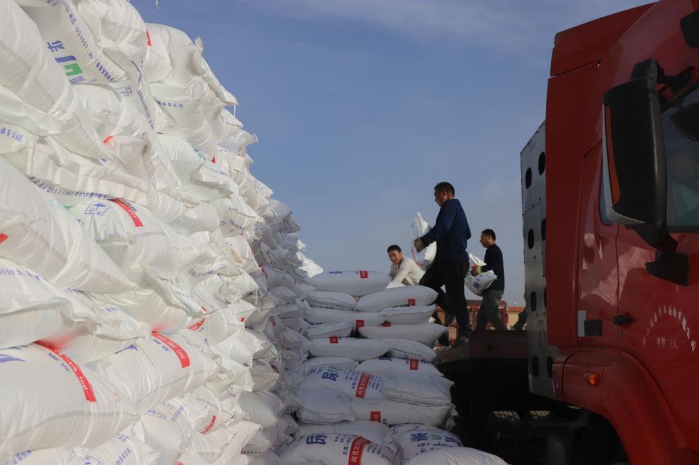 一師農資：“春肥冬儲”保障明年春耕生產