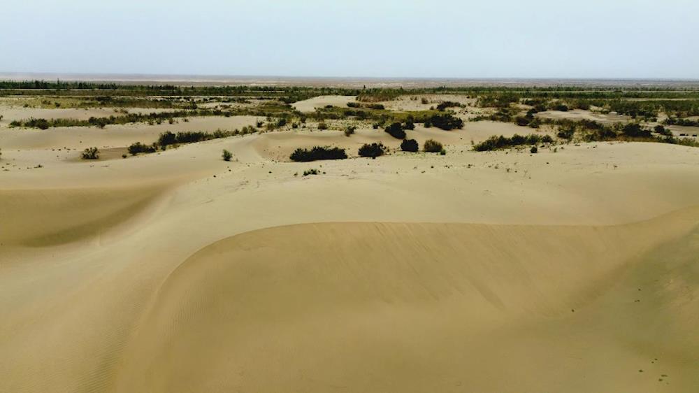 人進沙退筑華章 漠土生金化良田