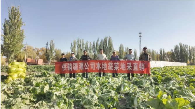 供銷疆源公司：大力推進地采直銷運營模式切實發揮平抑物價作用