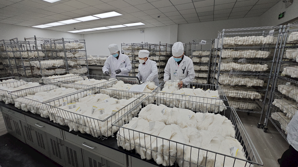 阿拉爾實驗室公檢量突破30萬噸大關  較去年同期增長68%