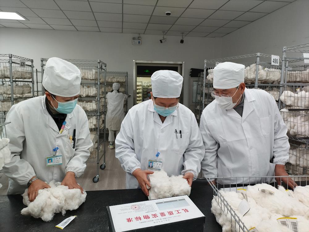 中國棉花公證檢驗(yàn)阿拉爾實(shí)驗(yàn)室檢驗(yàn)量突破35萬噸