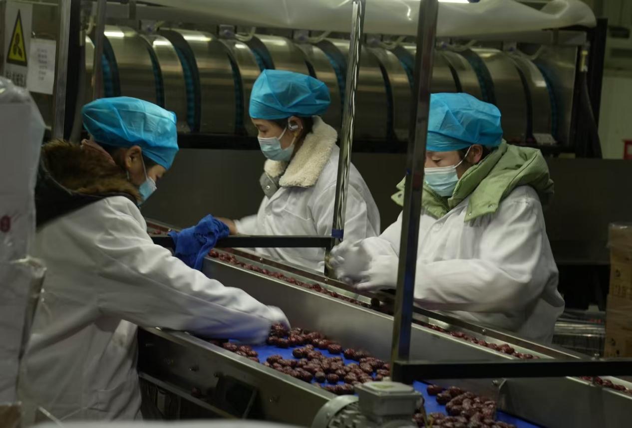 新年新氣象，西域圣源果業有限公司全面啟動復工復產