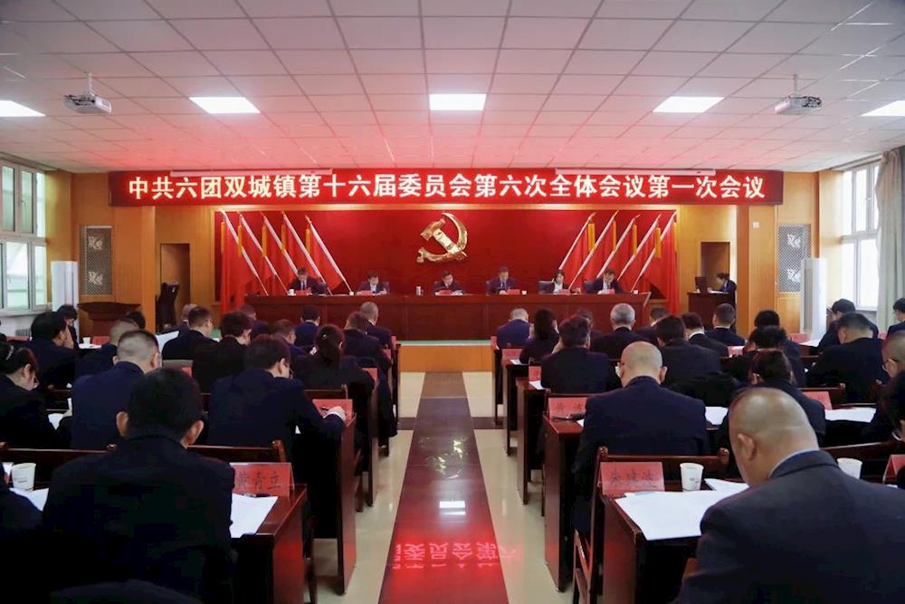 中國共產黨六團雙城鎮第十六屆委員會第六次全體會議召開