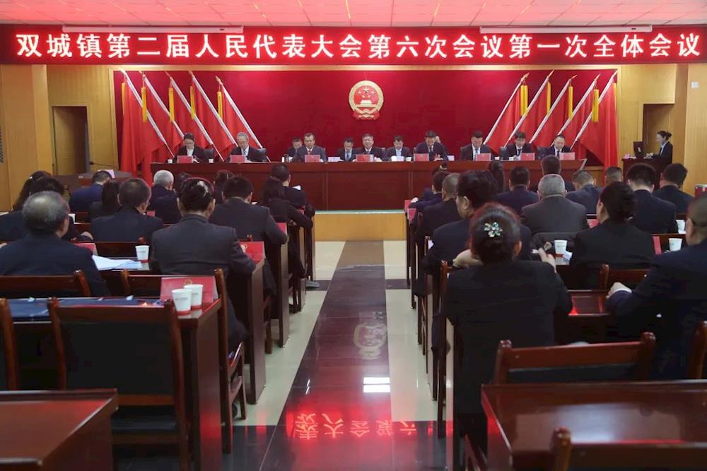 雙城鎮召開第二屆人民代表大會第六次會議
