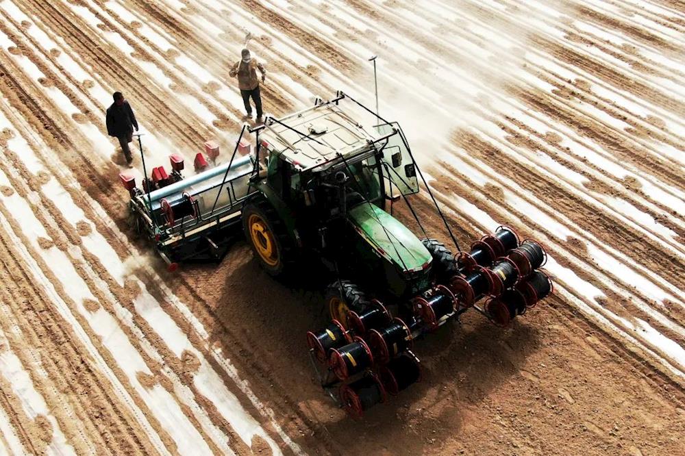 鄉(xiāng)村振興 | 春播“雙寶”新配方，棉花茴香穩(wěn)增長