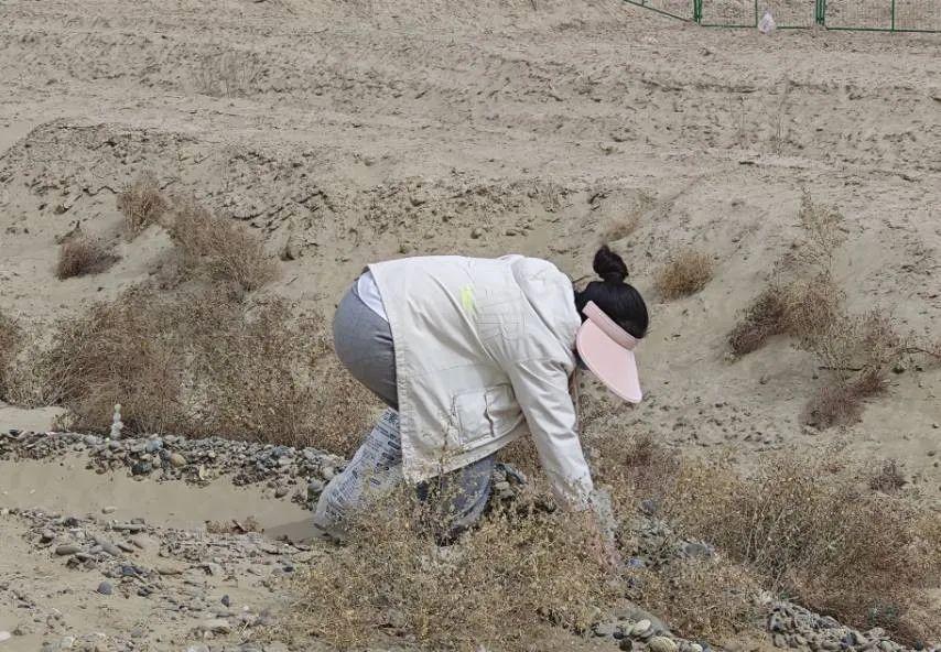 十四團——撿白色污染，繪綠色畫卷