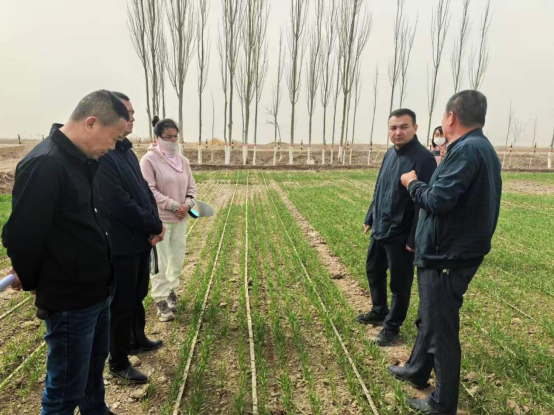 二團交流冬小麥高產技術 兵地協作促鄉村振興