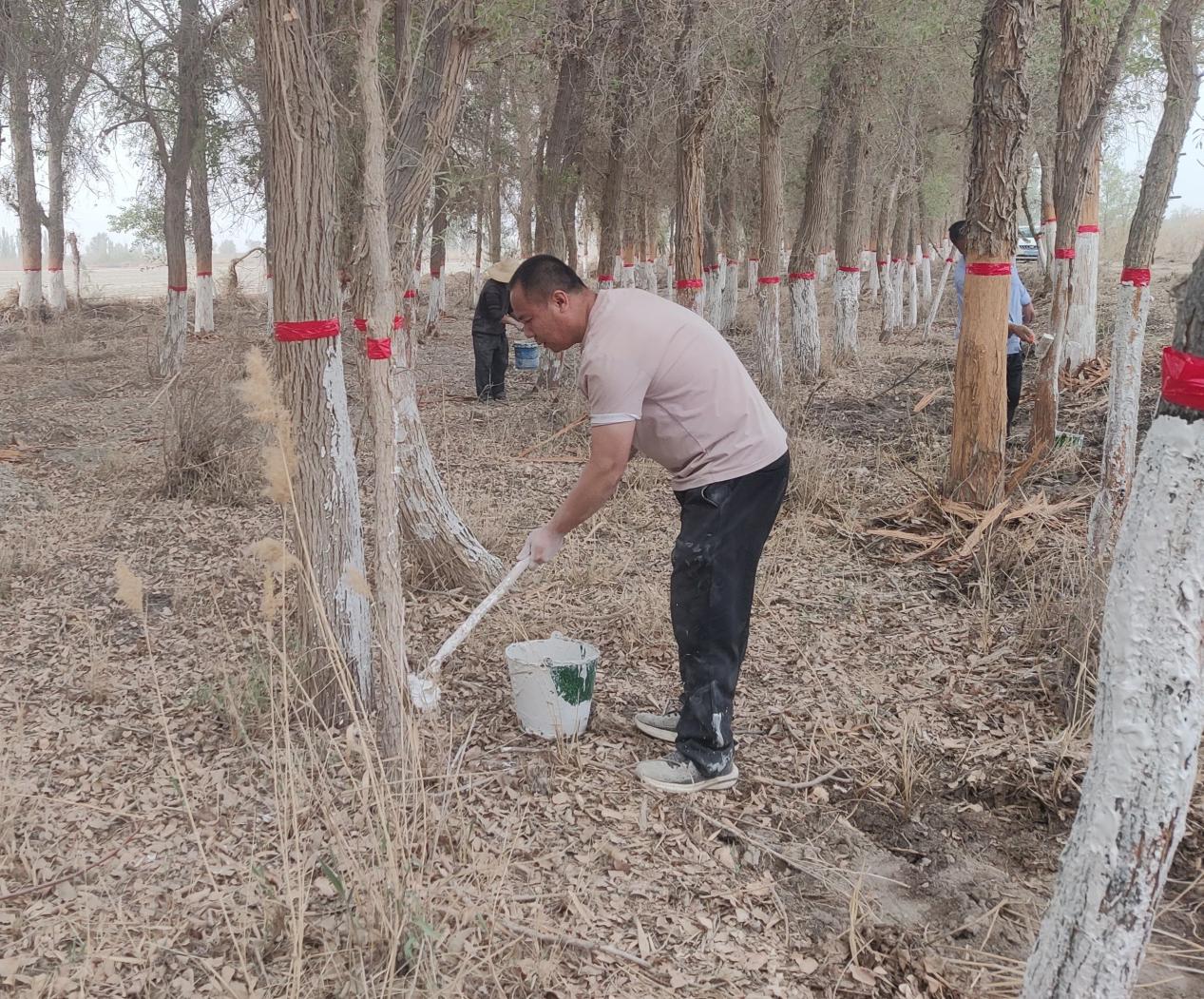 八團(tuán)14連持續(xù)推進(jìn)退化林修復(fù) 筑牢生態(tài)屏障