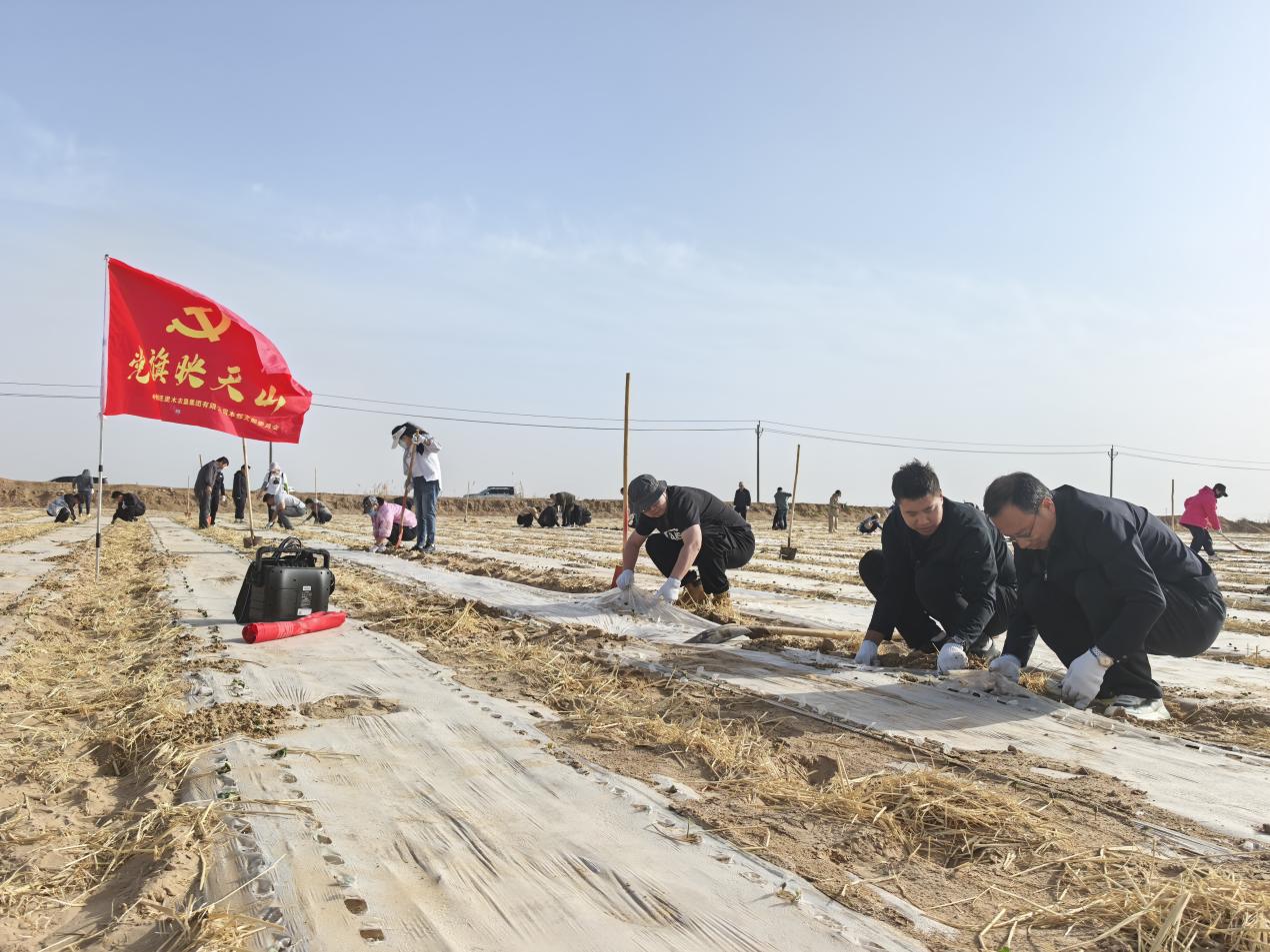 農墾集團全員沖鋒救災一線   勠力同心守護棉田春播成果