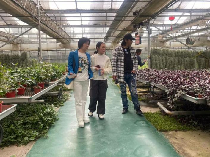 深耕景區創新提質工程    構造文旅發展新格局