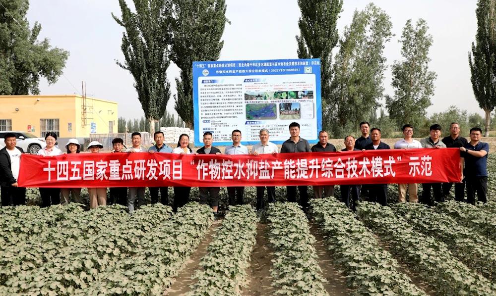 中國工程院院士康紹忠率隊赴十一團一連考察國家重點研發計劃項目示范進展情況