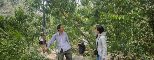 短視頻架起助農橋 兵團“兩委”解民憂