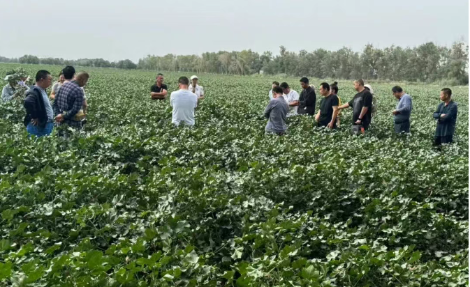 十二團21連召開農業技術指導現場會