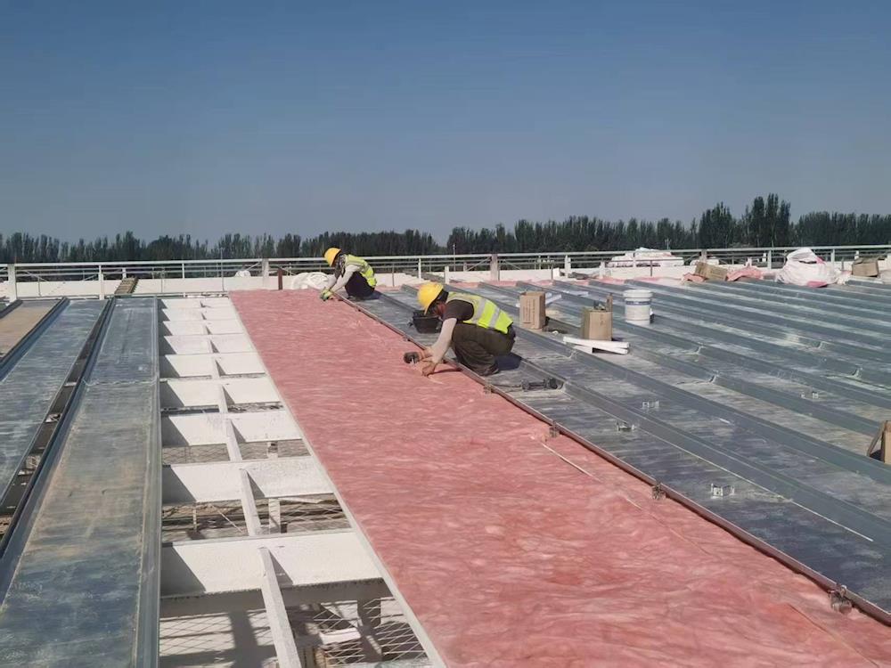 五團(tuán)：產(chǎn)業(yè)引擎驅(qū)動發(fā)展 多維賦能共繪振興圖景