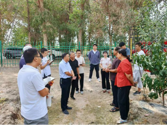 阿克蘇地區林業技術推廣服務中心來八團開展林果業交流活動