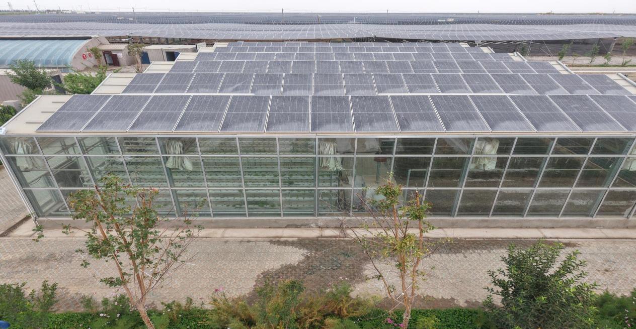 “農光互補”照亮南疆致富路——分布式光伏化身“陽光銀行” ，賦能農業增收創收成效顯著