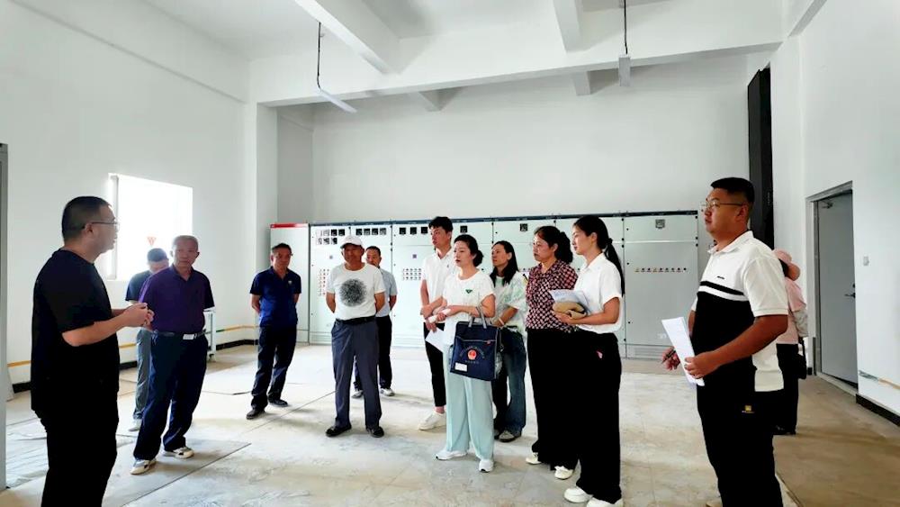 雙城鎮人大開展為民“十件實事”專題視察，助力民生工程落地生根