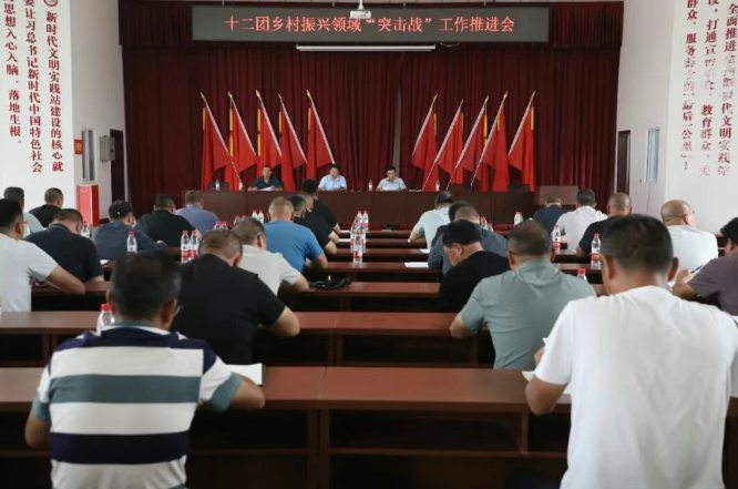 十二團召開第三次農業“三夏”工作檢查總結大會 以查促改夯實農業生產基礎