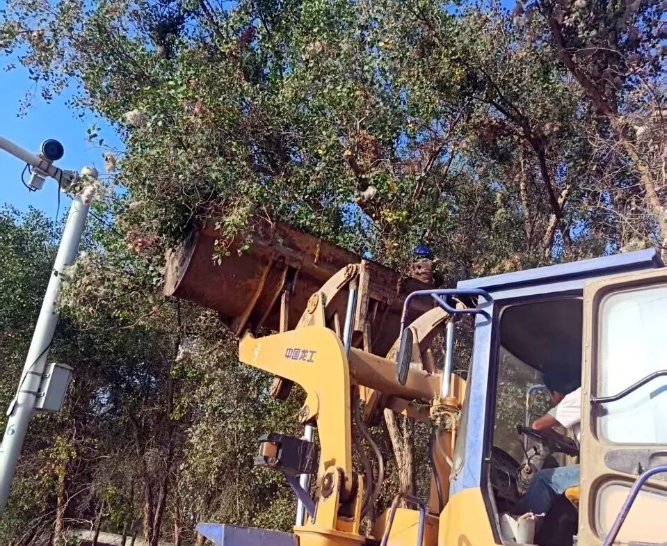 我為群眾辦實事 | 警團協同筑防線 老阿塔公路保安全