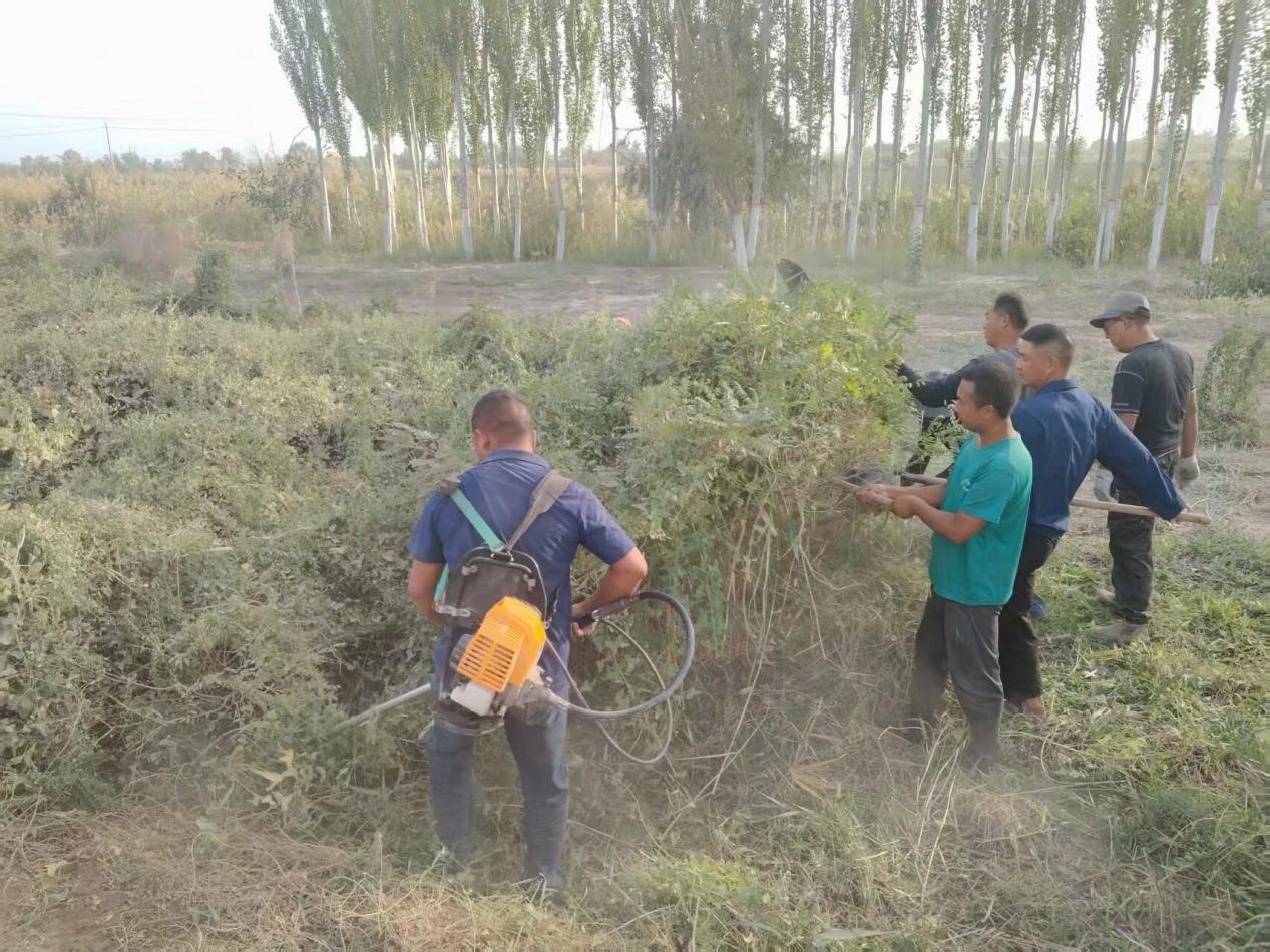生態(tài)衛(wèi)士 美麗八團(tuán)  清除雜草靚環(huán)境齊心共建美家園