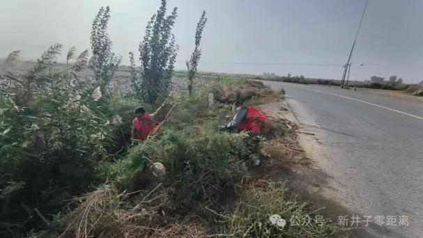 二團(tuán)清盲區(qū)、除雜草，為民筑起平安路