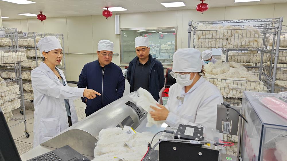 堅守崗位 忠誠履職--中國棉花公證檢驗阿拉爾實驗室以匠心守“棉”安