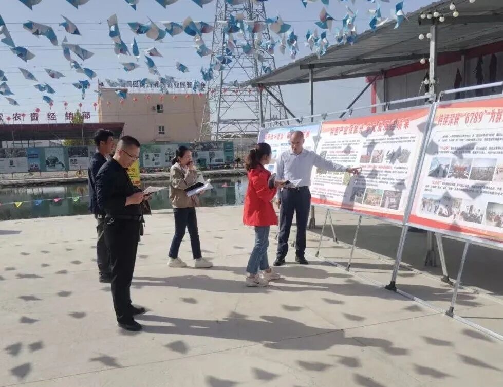 深入一線解難題精準指導促發展——十四團團領導調研指導黨支部領辦合作社工作