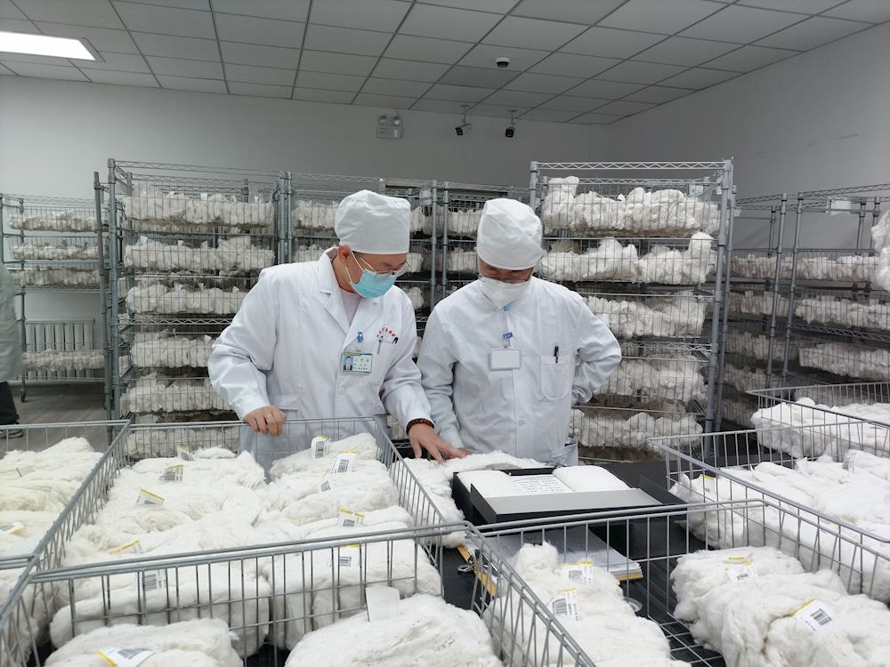 一手智能化，一手抓進度 ——阿拉爾實驗室已檢棉花突破6萬噸