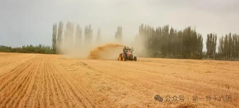 【在希望的田野上】十六團新開嶺鎮秸稈還田促循環 生態農業見實效