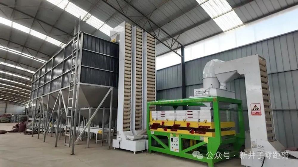 發展新興特色經濟 打造食葵全產業鏈