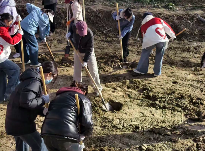 植綠護生態 同心筑家園——十二團開展2025年秋季義務植樹活動