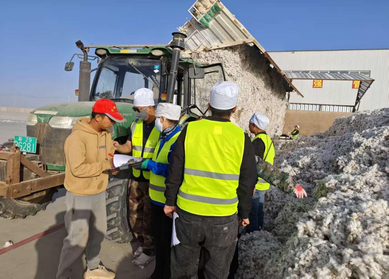 農墾集團柳源棉業28天打贏籽棉“收購戰”