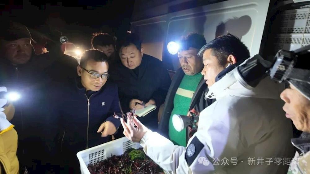 二團從杭州引進克氏鰲蝦