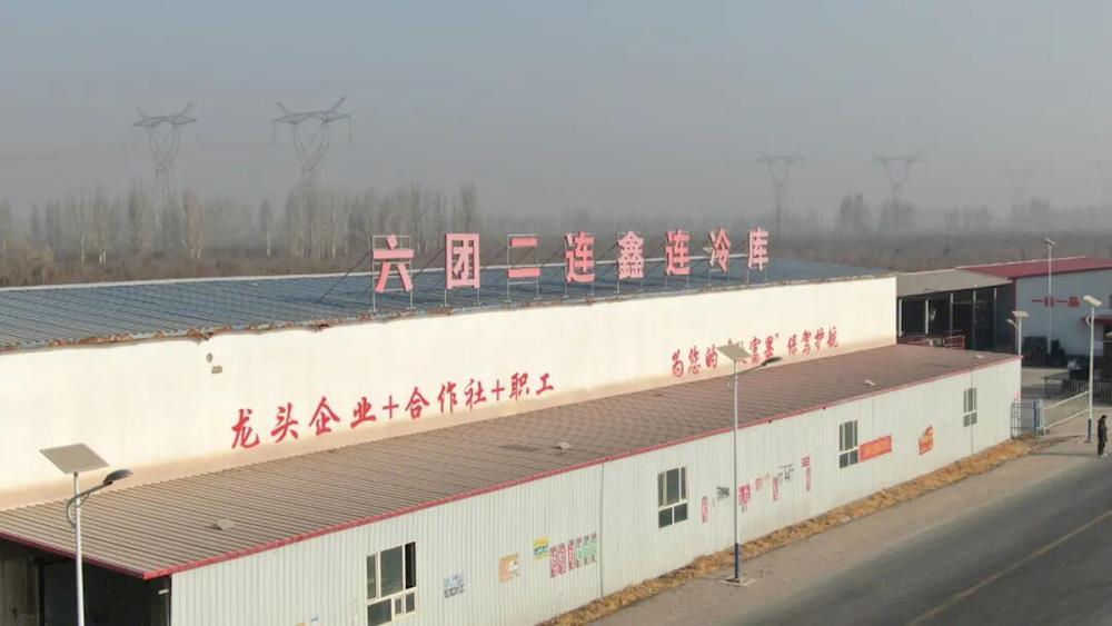 鄉村振興 | 黨支部領辦合作社 蘋果產業鋪就鄉村振興“紅色道路”