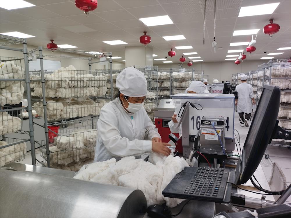 阿拉爾實驗室2025-2026年度棉花公證檢驗量過半