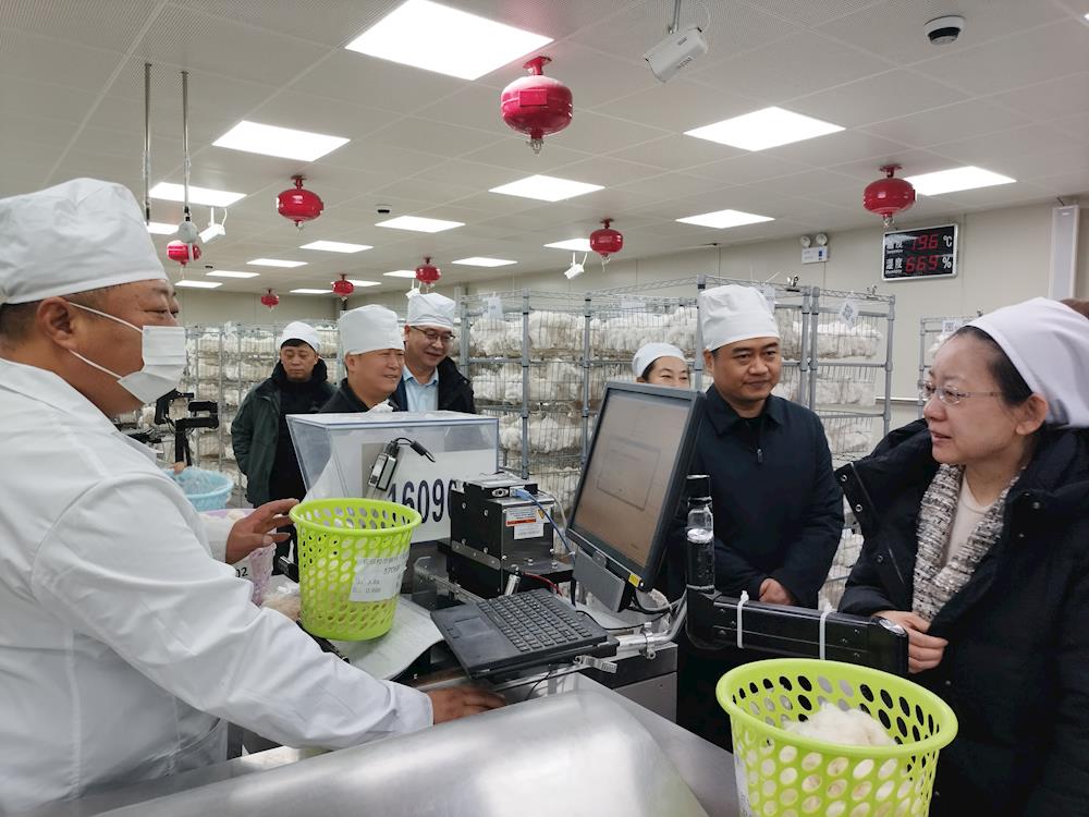 薪火相傳，友誼“棉”延 ——中國棉花公證檢驗阿拉爾實驗室2025-2026年度 已檢棉花突破40萬噸