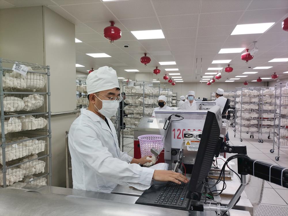 未雨綢繆 數(shù)智助力 