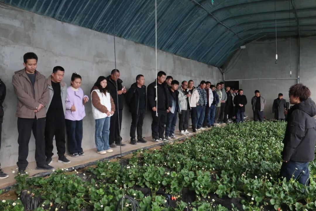 四團(tuán)赴兄弟團(tuán)場(chǎng)取經(jīng)問(wèn)道  以學(xué)促干擘畫(huà)農(nóng)業(yè)現(xiàn)代化新圖景