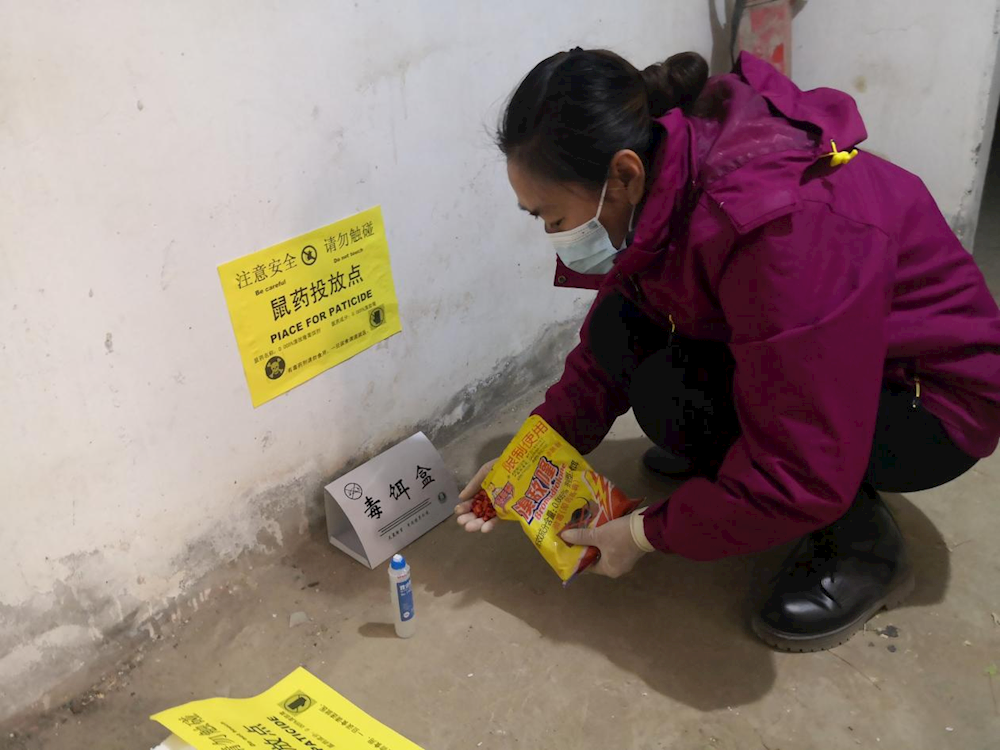 全域清潔防未病，干干凈凈迎新春