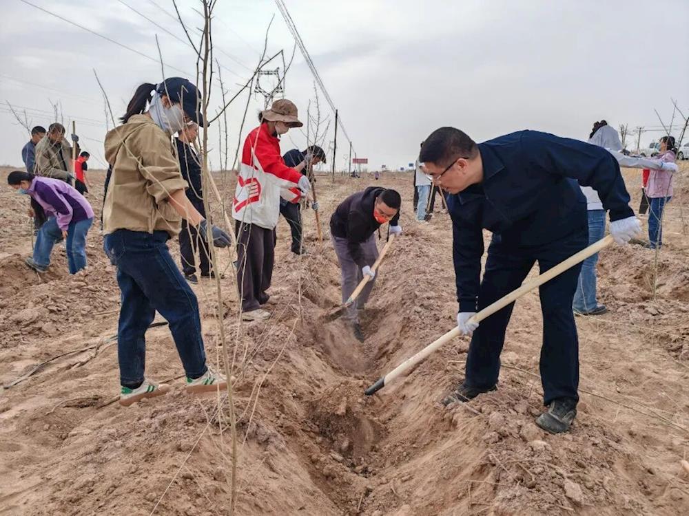 新時代文明實踐｜六團開展2026年春季義務植樹活動