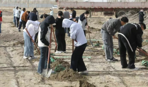 春風催新綠 植樹正當時——十二團積極開展春季義務植樹活動