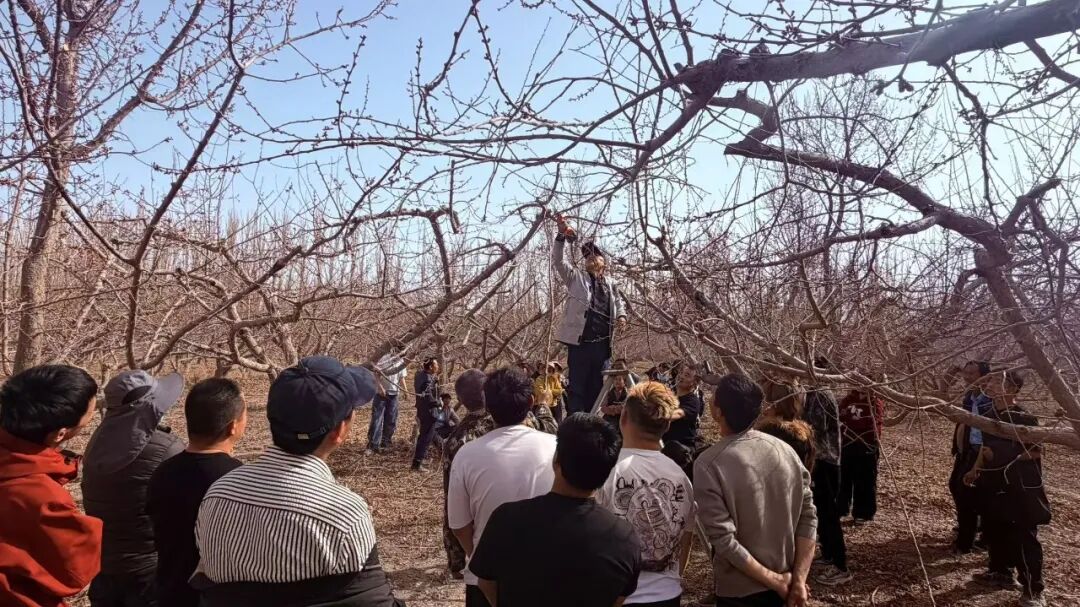 四團開展技能培訓“零距離”鋪就就業