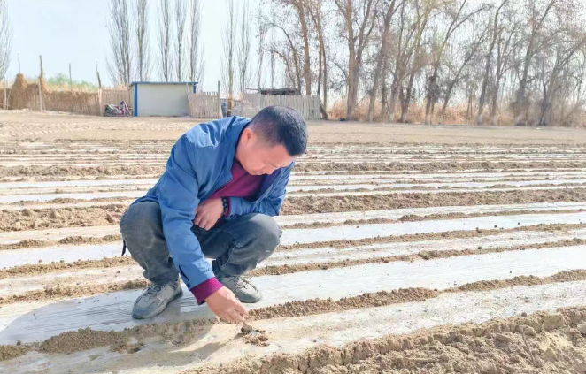 十二團各連隊搶抓農時 高標準推進春耕春播