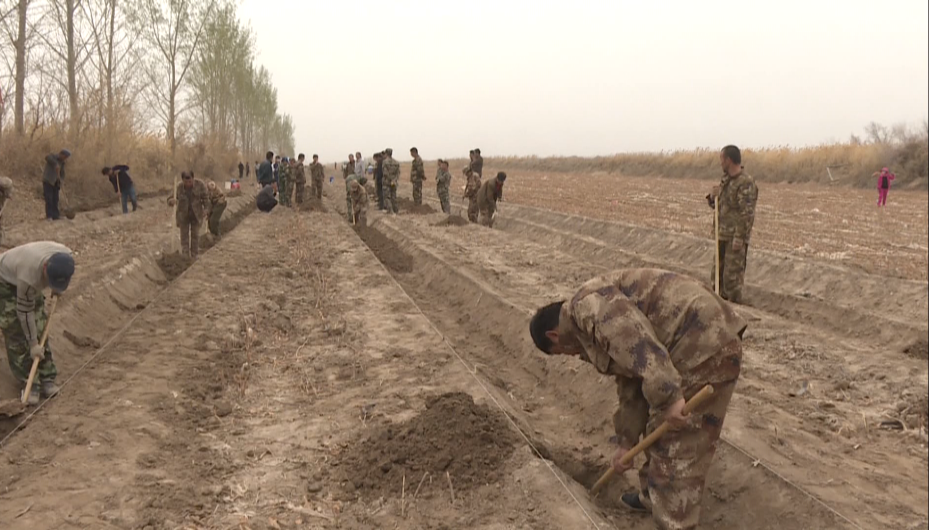 復工復產在行動 植樹造林正當時