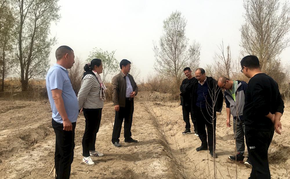 兵團(tuán)林草總站調(diào)研組來(lái)三團(tuán)開(kāi)展林草工作綜合調(diào)研