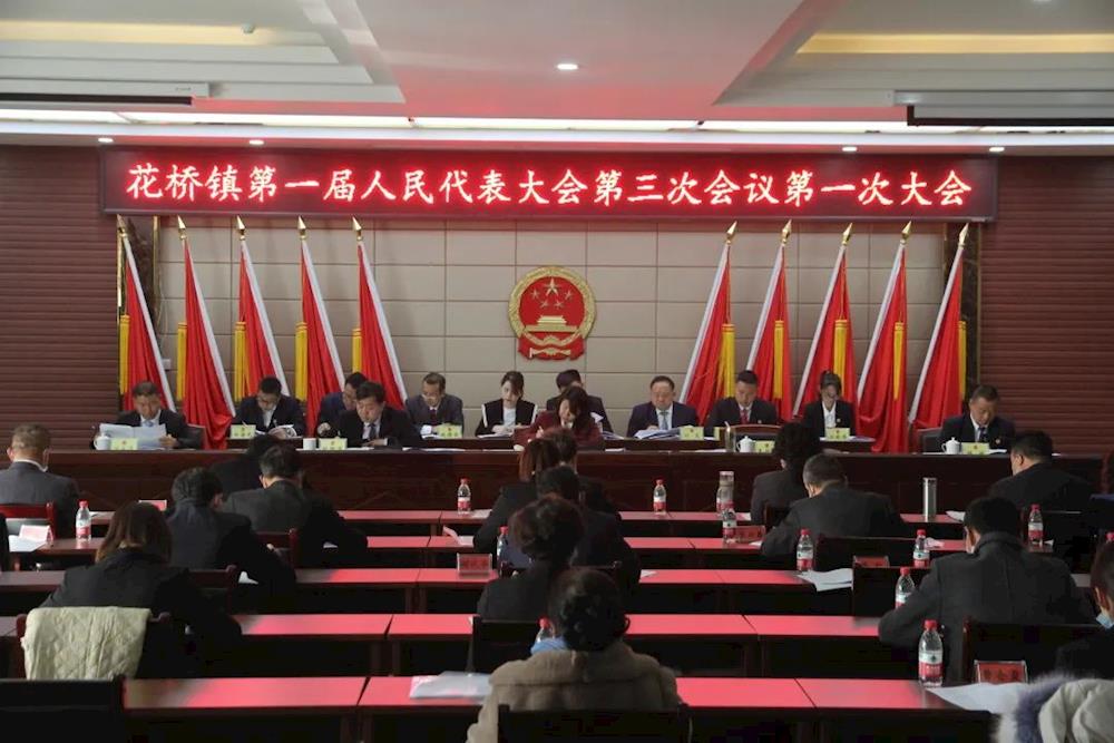 花橋鎮第一屆人民代表大會第三次會議順利召開