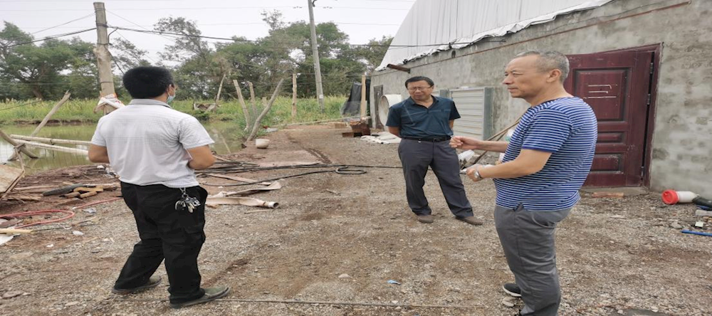 二團科學指導生豬養殖